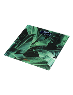 Электронные напольные весы Ardesto SCB-965LEAVES, Зелёный 2