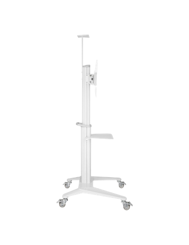 Подставка под телевизор на ножке Gembird TVS-70T-02-W, Белый