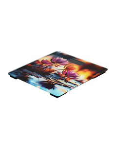 Cântar de podea Ardesto SCB-965LOTUS, Multicolor 2