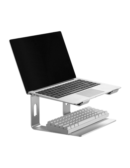 Stand pentru laptop Gembird NBS-D1-01, 15,6", Argintiu