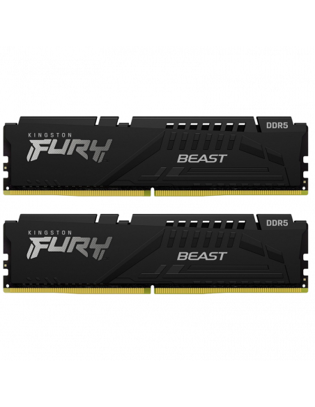 Оперативная память Kingston FURY Beast, DDR5 SDRAM, 4800 МГц, 32Гб, KF548C38BBK2-32