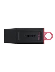 Flash Drive USB Kingston DataTraveler Exodia / 256GB / 100 MByte/s