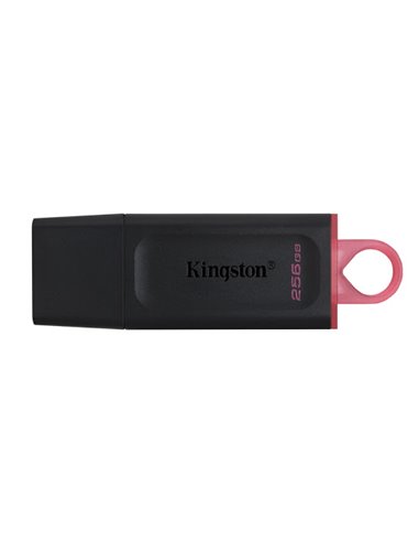 Флеш-накопитель USB Kingston DataTraveler Exodia / 256ГБ / 100 MByte/s