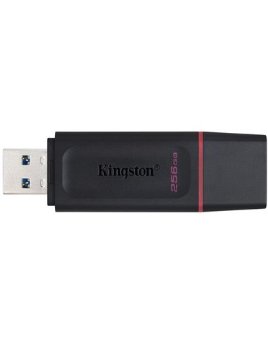 Флеш-накопитель USB Kingston DataTraveler Exodia / 256ГБ / 100 MByte/s