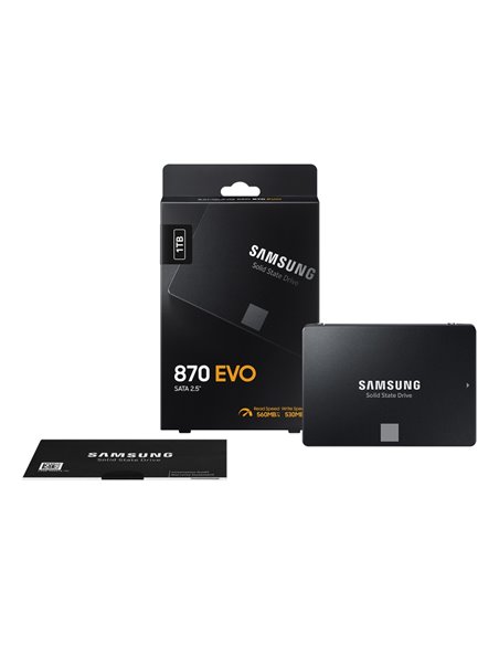 2.5” SSD 1.0TB Samsung SSD 870 EVO, SATAIII, Sequential Reads: 560 MB/s, Sequential Writes: 530 MB/s, Max Random 4k: Read: 9...