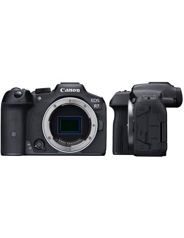 Camera Mirrorless CANON EOS R7 Body (5137C041)