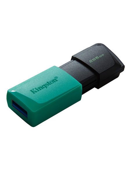 Flash Drive USB Kingston DataTraveler Exodia M / 256GB / 100 MByte/s
