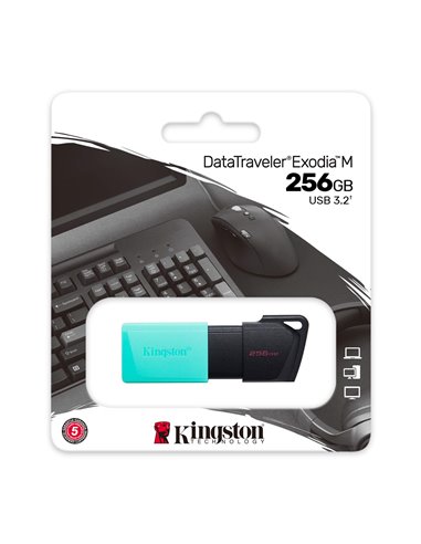 Flash Drive USB Kingston DataTraveler Exodia M / 256GB / 100 MByte/s