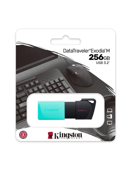 Flash Drive USB Kingston DataTraveler Exodia M / 256GB / 100 MByte/s