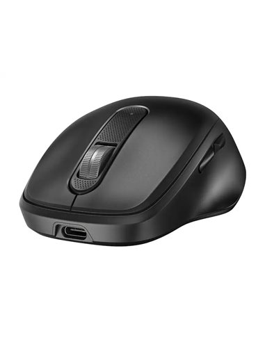 Сверхбыстрая перезаряжаемая беспроводная мышь HP 510/ 4000 dpi/ Black