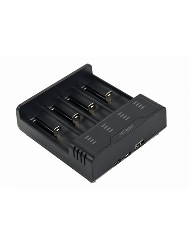 ”Быстрое” зарядное USB-устройство для аккумуляторов Ni-MH + Li-ion EnerGenie BC-USB-02