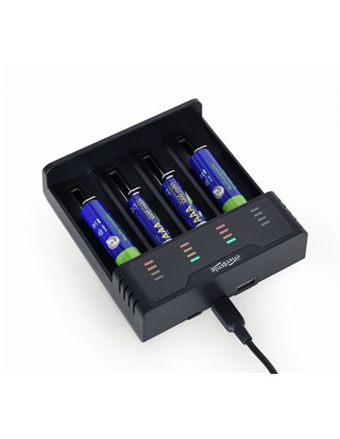 ”Быстрое” зарядное USB-устройство для аккумуляторов Ni-MH + Li-ion EnerGenie BC-USB-02