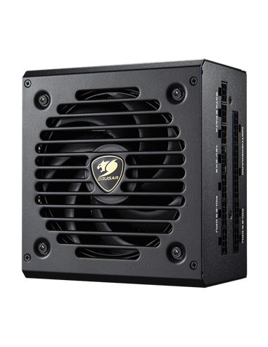 Sursă Alimentare PC Cougar Power GEX PRO 850, 850W, ATX, Complet modular