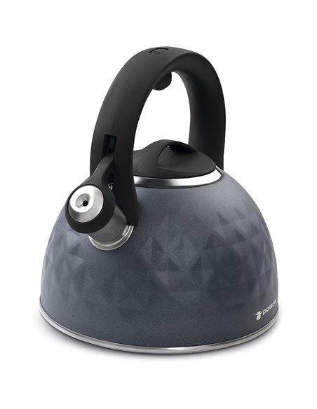 Ceainic Polaris Kontur, 3L, Gri