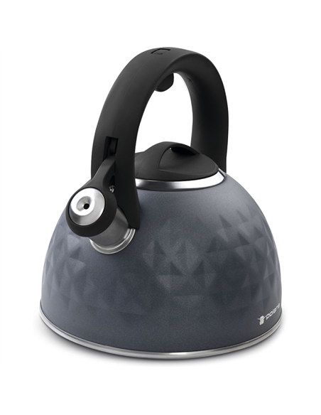 Ceainic Polaris Kontur, 3L, Gri