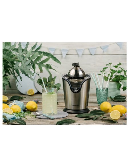 Storcător de citrice Gorenje Citruseta CJ100HE, Oțel inoxidabil