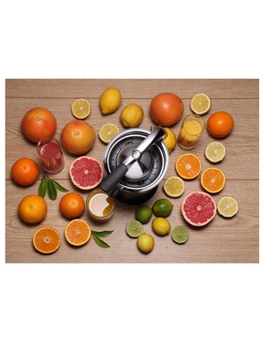 Storcător de citrice Gorenje Citruseta CJ100HE, Oțel inoxidabil