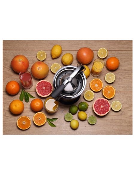 Storcător de citrice Gorenje Citruseta CJ100HE, Oțel inoxidabil