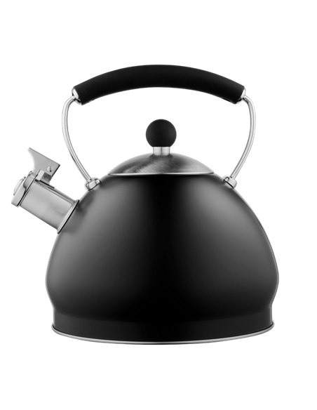 Ceainic Ardesto AR0748KS, 3L, Negru