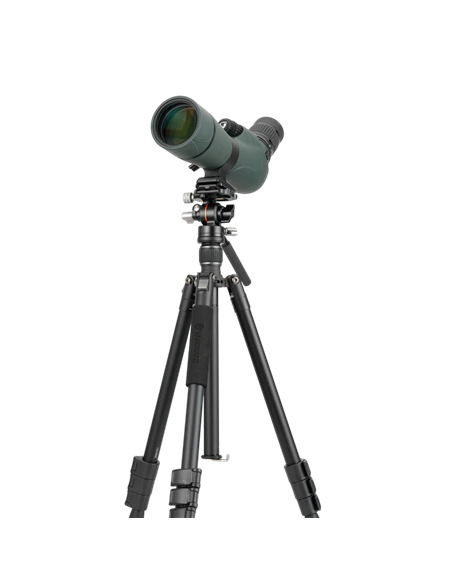 Штатив для видеокамер Vanguard VESTA GO 264AV12, Видеоголовка, Чёрный