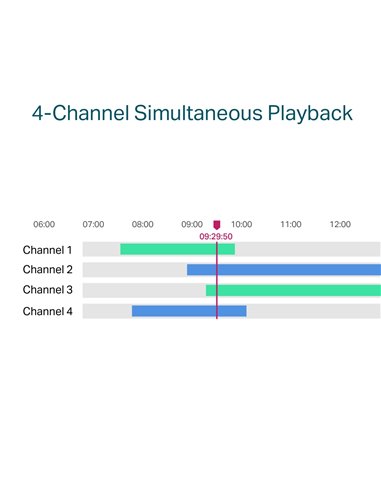 Înregistrator video TP-LINK VIGI NVR1004H-4P, Negru