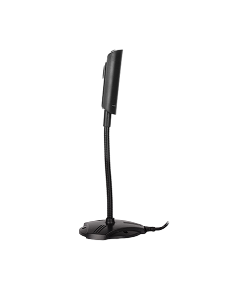 Веб-камера A4Tech PK-810G, 640 x 480, Чёрный