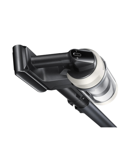 Aspirator Vertical Samsung VS80F28DGS/UK, Negru | Bej