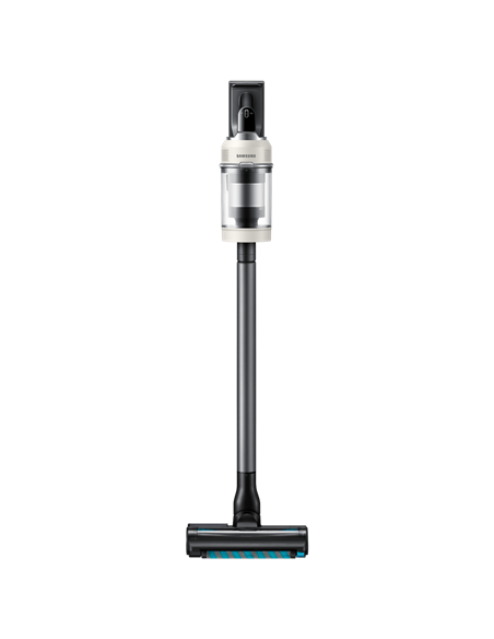 Aspirator Vertical Samsung VS80F28DGS/UK, Negru | Bej