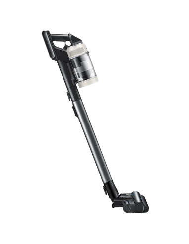 Aspirator Vertical Samsung VS80F28DGS/UK, Negru | Bej