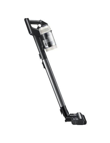 Aspirator Vertical Samsung VS80F28DGS/UK, Negru | Bej