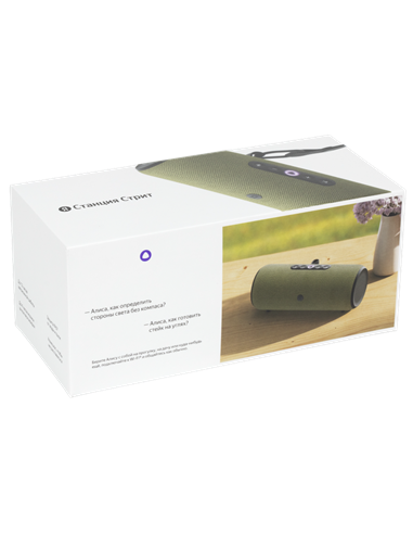 Difuzor Inteligent Yandex Station Street, Verde