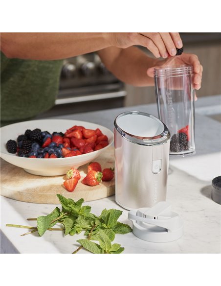 Blender staționar Cuisinart RPB100E, Oțel inoxidabil