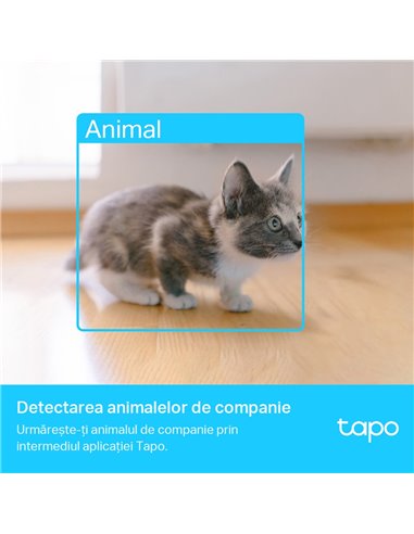 Умная камера видеонаблюдения TP-LINK TAPO C225, Белый