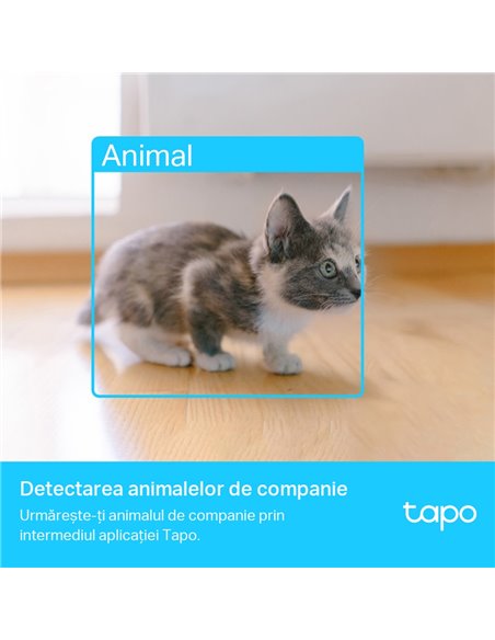 Умная камера видеонаблюдения TP-LINK TAPO C225, Белый Умная камера видеонаблюдения TP-LINK TAPO C225, Белый