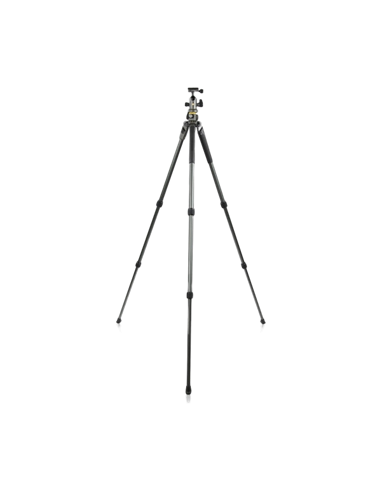 Штатив для фото и видеокамер Vanguard ALTA PRO2+ 263AB 100, Шаровая Головка, Серый