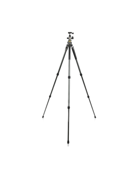 Штатив для фото и видеокамер Vanguard ALTA PRO2+ 263AB 100, Шаровая Головка, Серый