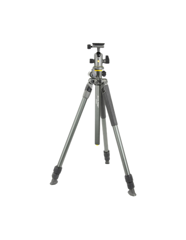 Штатив для фото и видеокамер Vanguard ALTA PRO2+ 263AB 100, Шаровая Головка, Серый