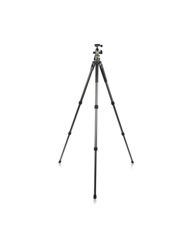Штатив для фото и видеокамер Vanguard ALTA PRO2+ 263AB 100, Шаровая Головка, Серый