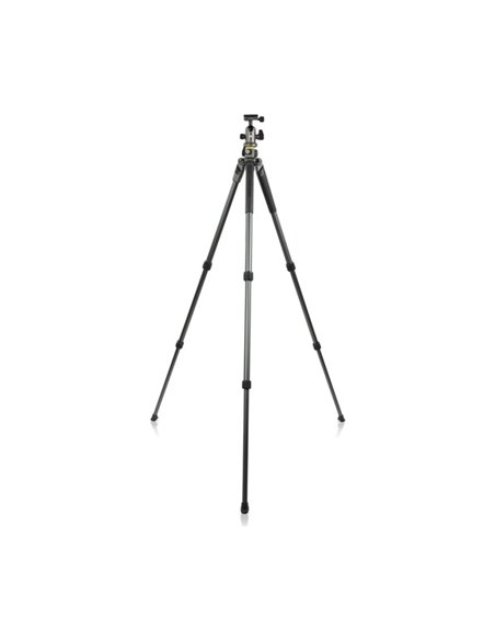 Штатив для фото и видеокамер Vanguard ALTA PRO2+ 263AB 100, Шаровая Головка, Серый