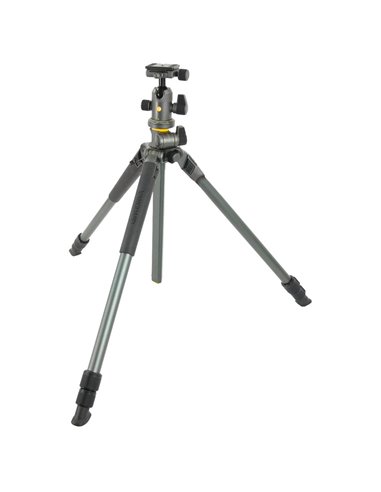Штатив для фото и видеокамер Vanguard ALTA PRO2+ 263AB 100, Шаровая Головка, Серый