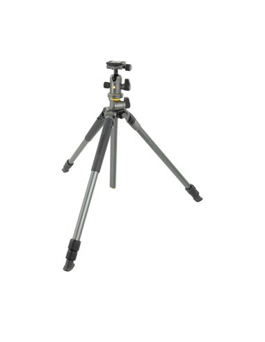 Штатив для фото и видеокамер Vanguard ALTA PRO2+ 263AB 100, Шаровая Головка, Серый