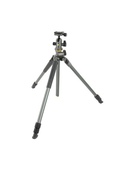 Tripied Foto-Video Vanguard ALTA PRO2+ 263AB 100, Cap trepied de minge, Gri