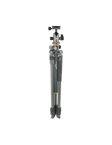 Штатив для фото и видеокамер Vanguard ALTA PRO2+ 263AB 100, Шаровая Головка, Серый
