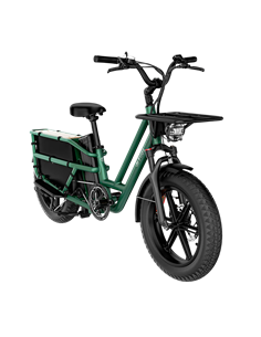 Bicicletă Electrică Fiido T2, Verde 2