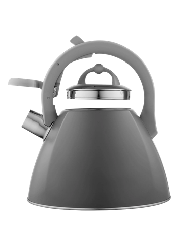 Ceainic Ardesto AR1947KB, 2,5L, Gri