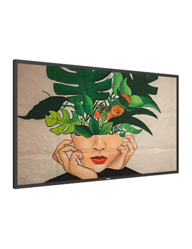 Display Philips 55BDL4650D, 55", Negru