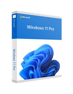 Операционная система Windows 11 Pro 64Bit Russian 1pk DSP OEI DVD 2