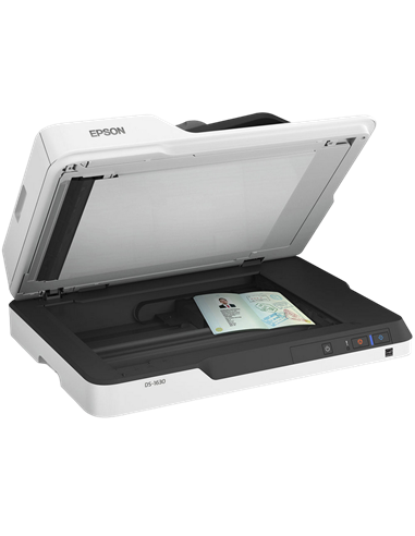 Планшетный сканер Epson WorkForce DS-1630, A4, Серый