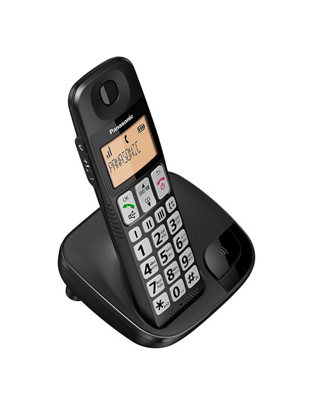 Радиотелефон Panasonic KX-TGE110, Чёрный Радиотелефон Panasonic KX-TGE110, Чёрный