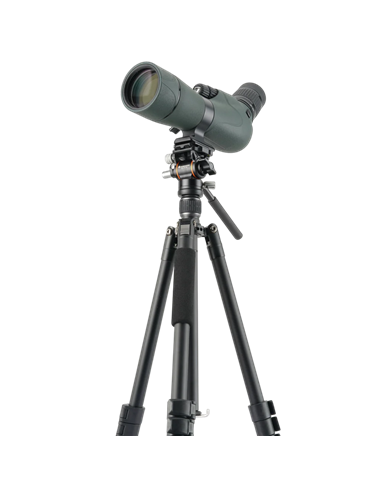 Штатив для видеокамер Vanguard VESTA GO 234AV10, Видеоголовка, Чёрный